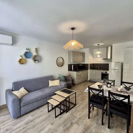 Appartement Confort Et Calme A : T2 Climatise Avec Wi-fi, Balcon Et Double Garage, Proche Centre-ville - Fr-1-226b-186