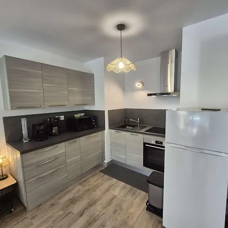 Appartement Confort Et Calme A : T2 Climatise Avec Wi-fi, Balcon Et Double Garage, Proche Centre-ville - Fr-1-226b-186