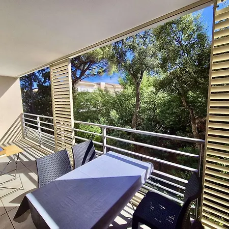 Confort Et Calme A : T2 Climatise Avec Wi-fi, Balcon Et Double Garage, Proche Centre-ville - Fr-1-226b-186